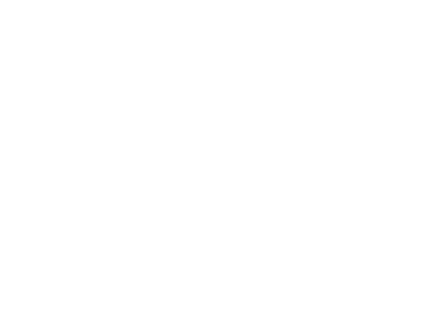 FL2949TF