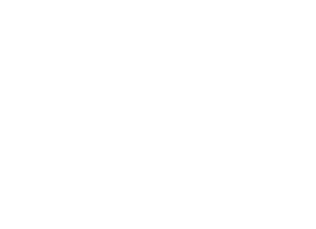 FL2949TF