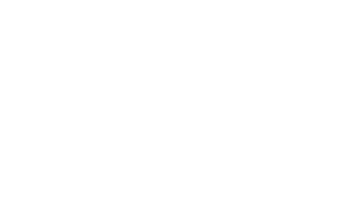 MN 4384 MF