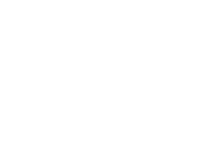 WA 599 AV