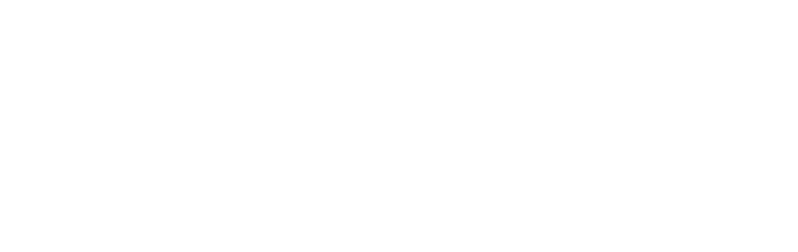 TN 2502 AF