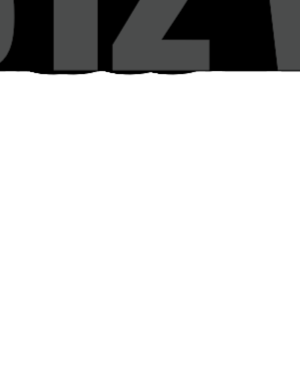 VT 1312 W
