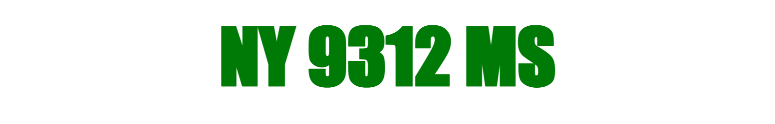 NY 9312 MS