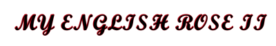 MY ENGLISH ROSE II