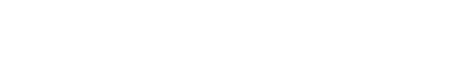 VT 8843V