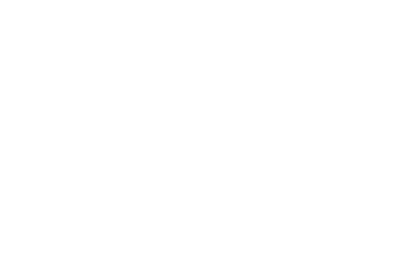 SC 2917 DJ