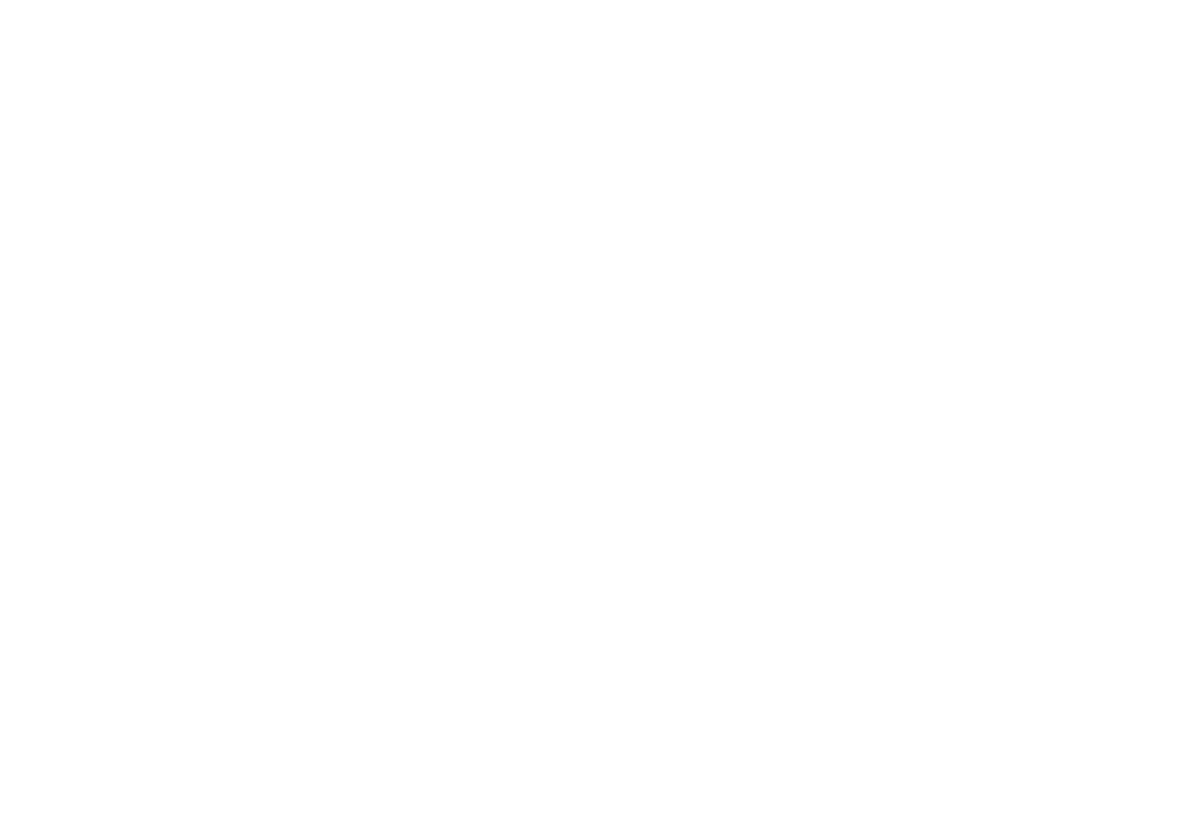 SC 2917 DJ