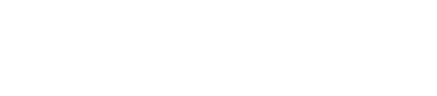 Website Development