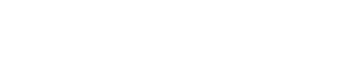 Shredding, Data Recovery, Networking, File Conversion