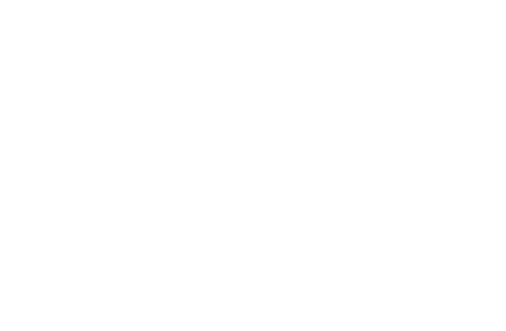 MN 7743 MG
