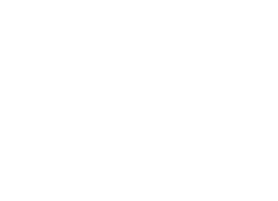 CF 8803 NF