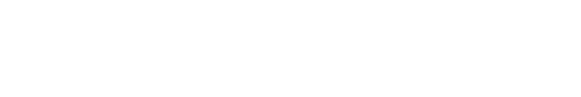 IN 4633 EK