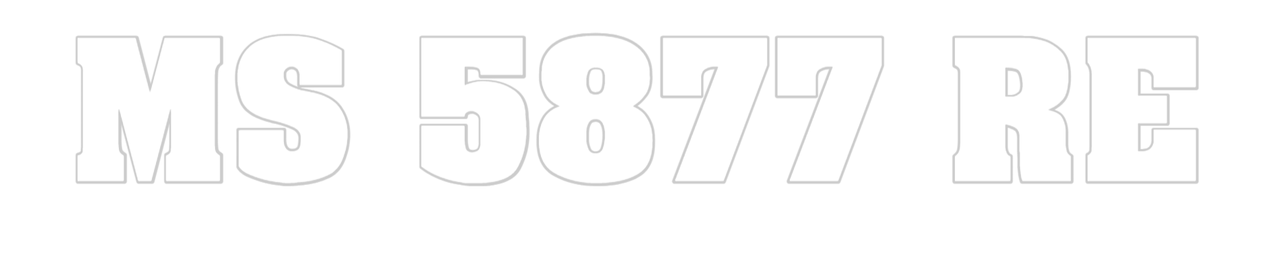 MS 5877 RE
