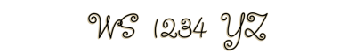 WS  1234  YZ