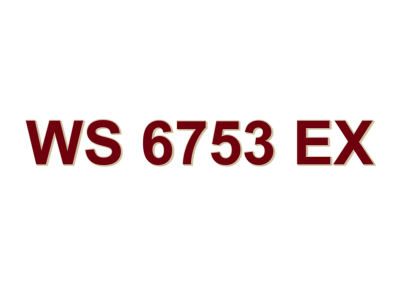 WS 6753 EX