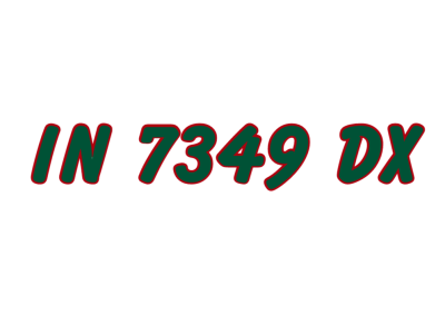 IN 7349 DX
