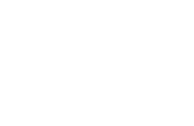 Fast 4g63