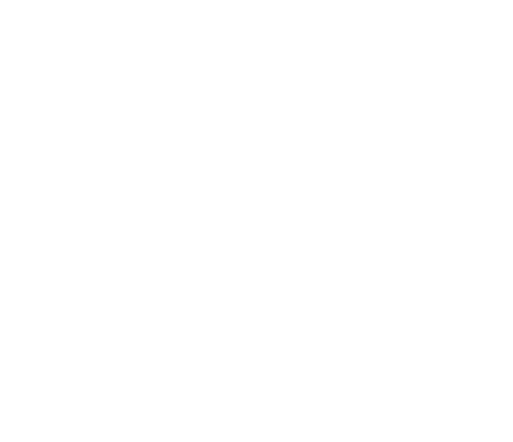 CF 6296 VC