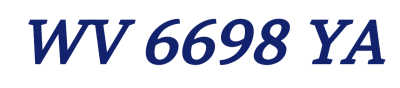 WV 6698 YA