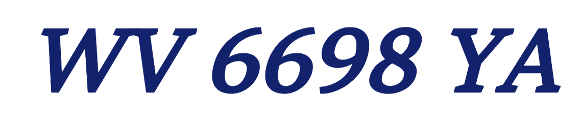 WV 6698 YA