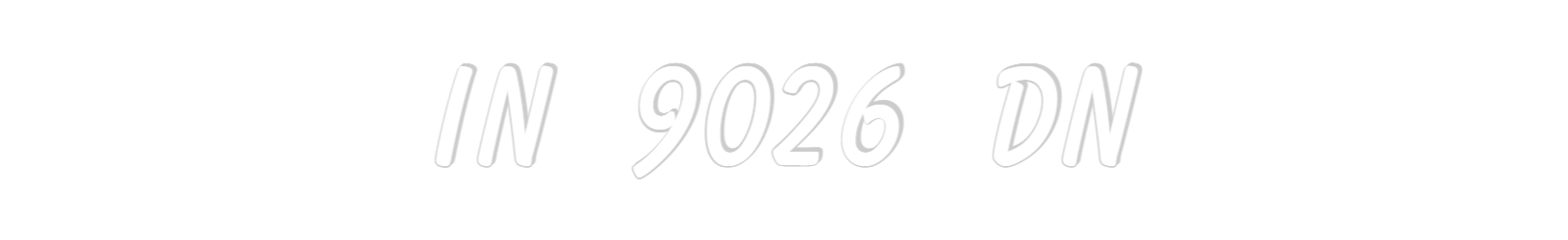 IN 9026 DN