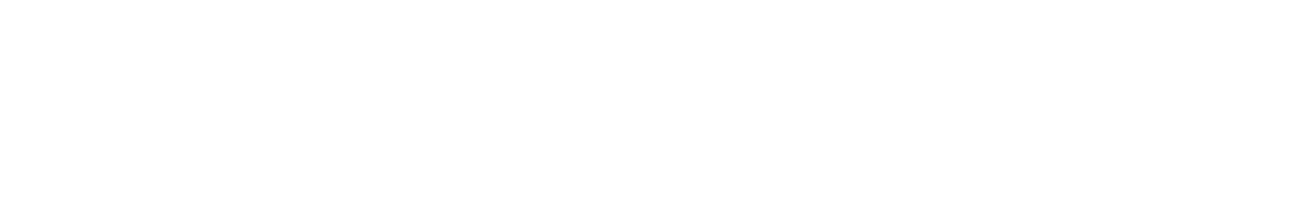 WS 1530JP
