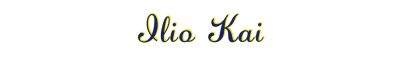 Ilio Kai