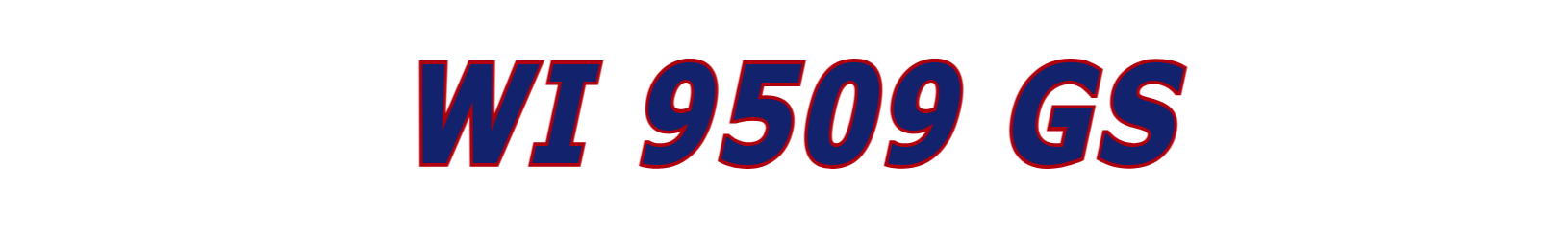 WI 9509 GS