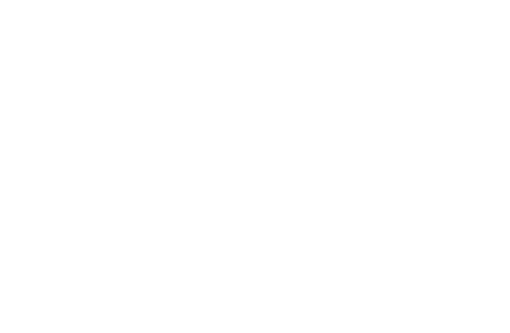 TN 1981 GN