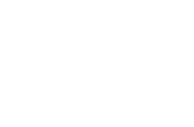 TN 1981 GN