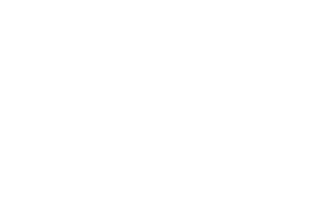 TN 1981 GN