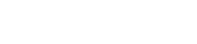 TN 4856 DZ