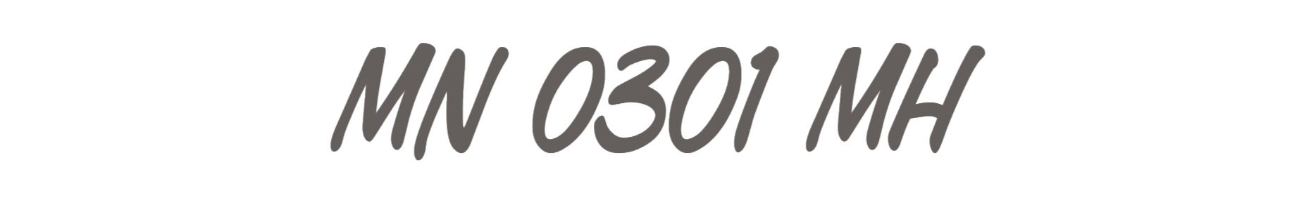 MN 0301 MH