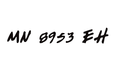 MN 8953 EH