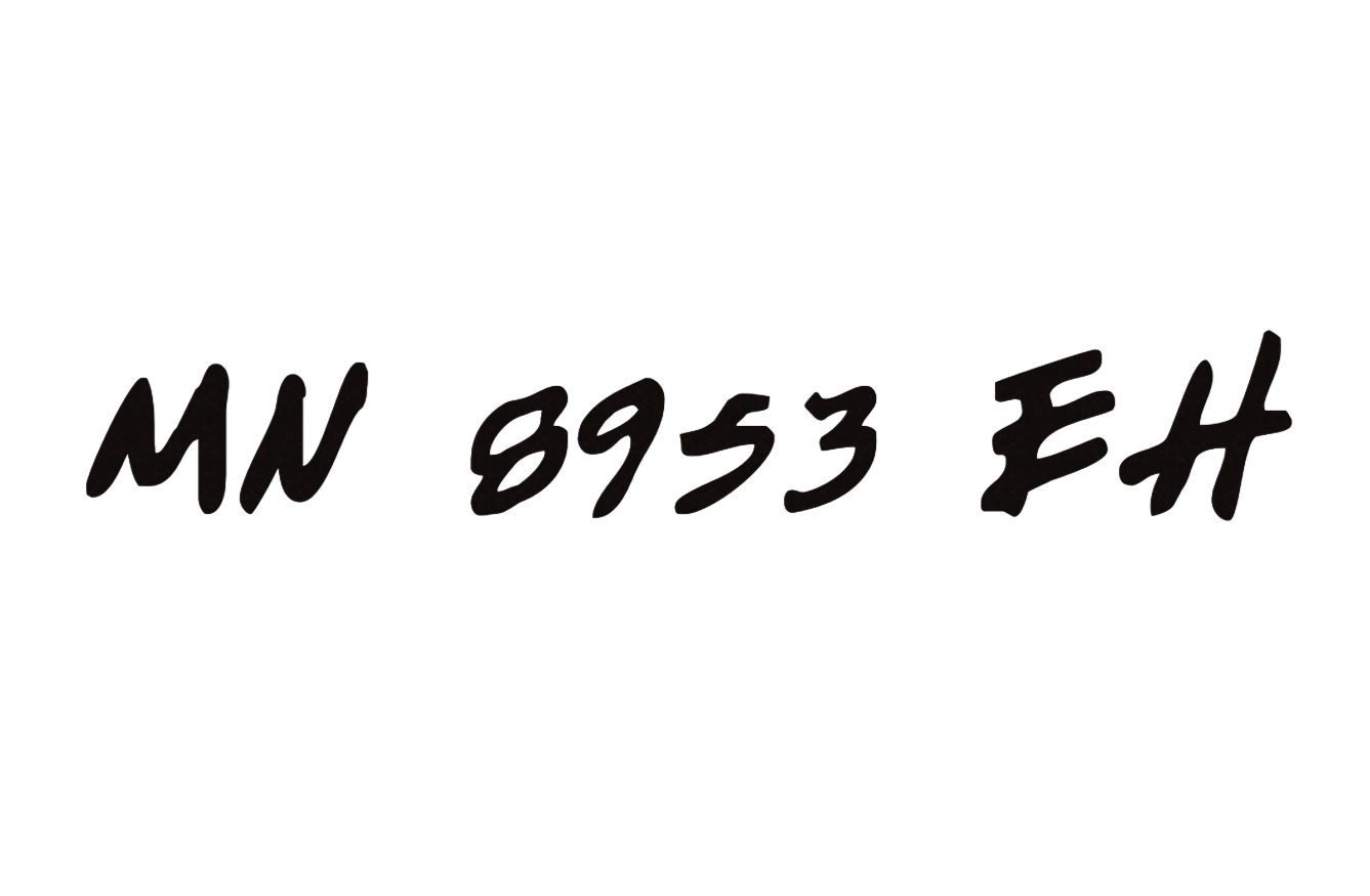 MN 8953 EH