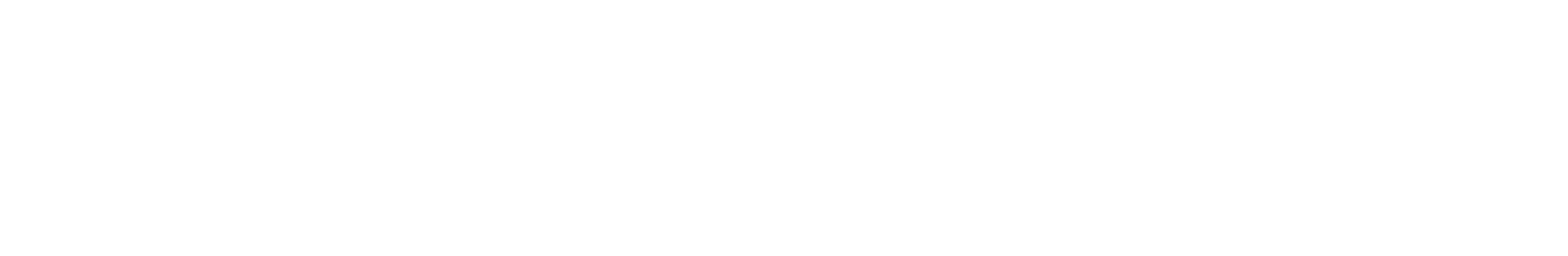 WS 1551 TN