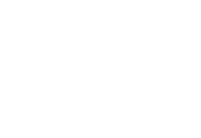 NY 2737 GU