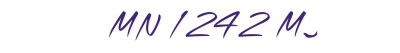 MN 1242 MJ