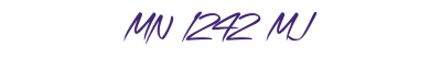 MN 1242 MJ