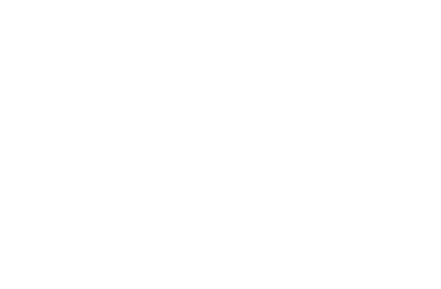 WS 1191 CZ