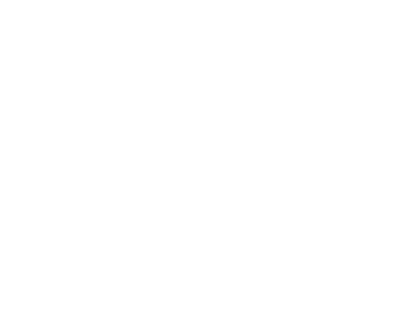 FL 2988 TP