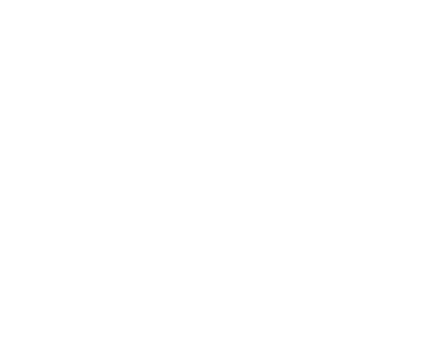 FL 2988 TP