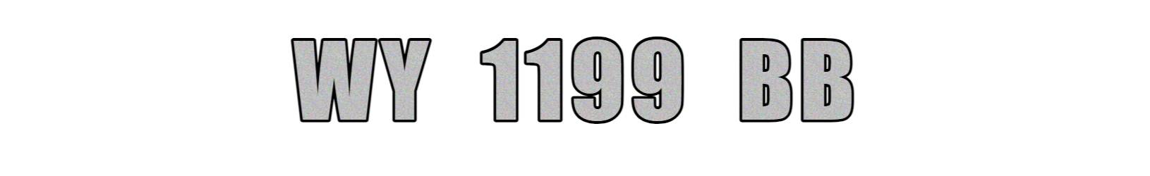 WY 1199 BB