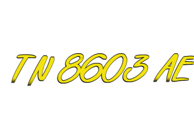 TN 8603 AE