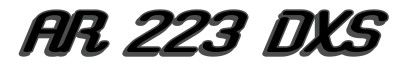 AR 223 DXS