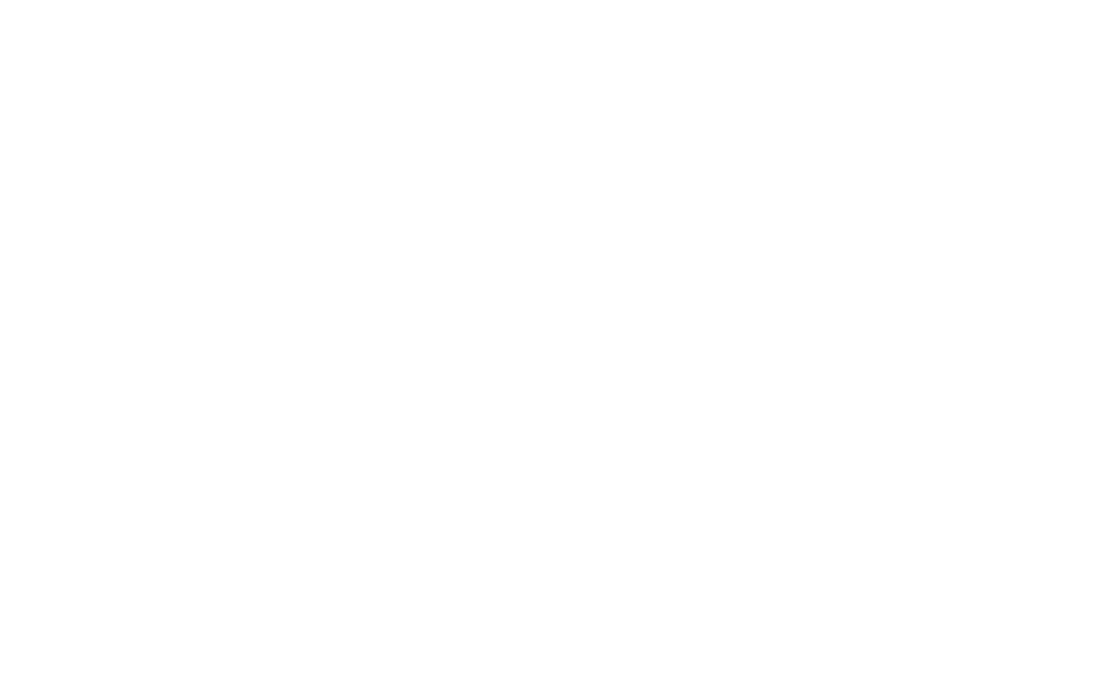 IN 7295 EC