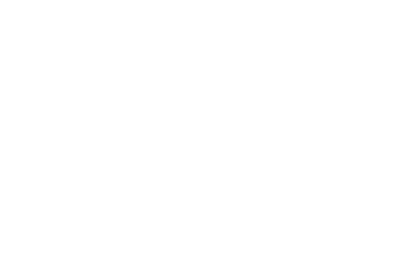 AL 9953 VT