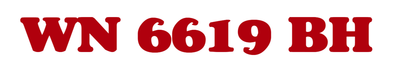 WN 6619 BH