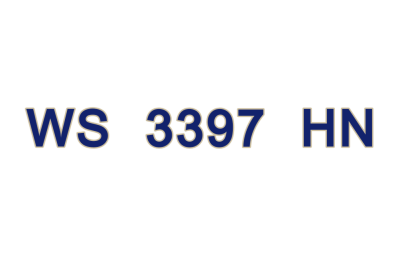 WS 3397 HN