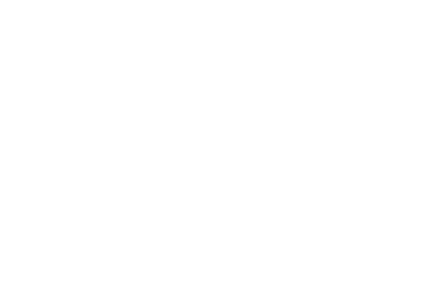 SC 1293 EE
